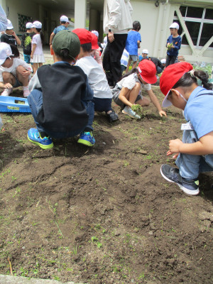 2年生の学級園手入れ (3)