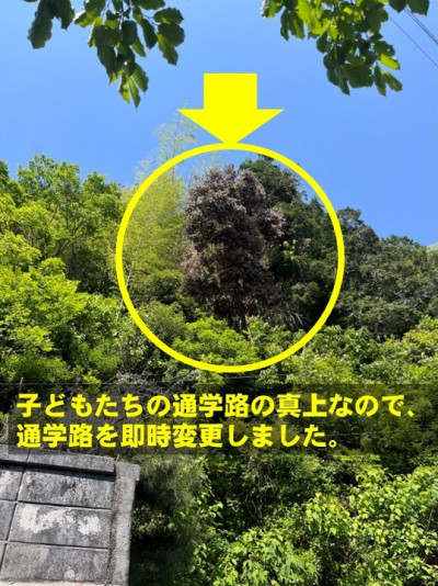 スライド2
