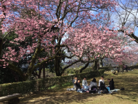 6年2組_学活_木村妙_写真　2月_11