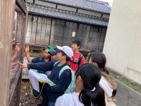 c83a975ead9471634fd2a85a947bfb96