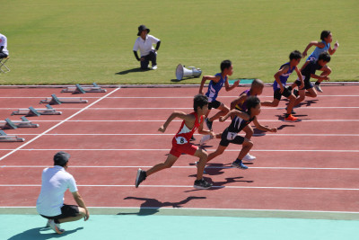60m (55)_02